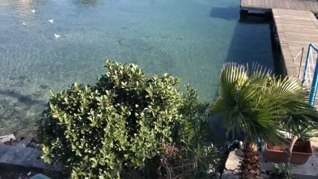 катания идём к морю смотреть онлайн