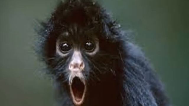 Почему школьников не берут в 10й класс смотреть онлайн