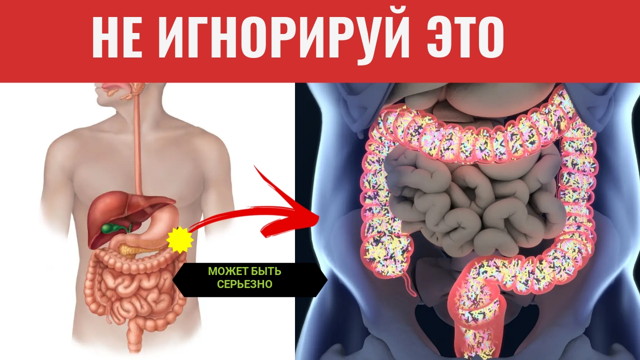 СКРЫТАЯ Информация , Которую Показывает ВАШ СТУЛ. Изменения Стула При Онкологии. смотреть онлайн