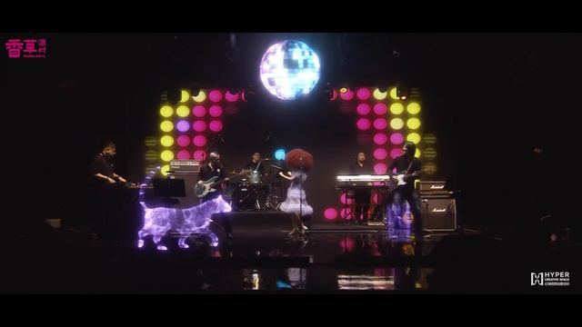 张蔷 ZHANG QIANG - 夜猫 (3D Hologram Live Show)