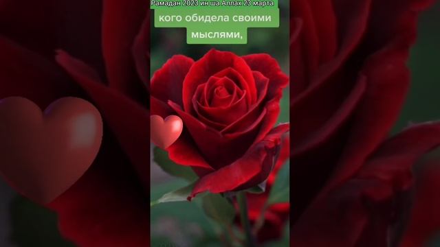 ✨ Священный месяц Рамазан скоро ин ша Аллах. 23.03.2023 смотреть онлайн