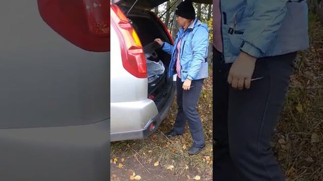 Грибы 2016....Грузди смотреть онлайн