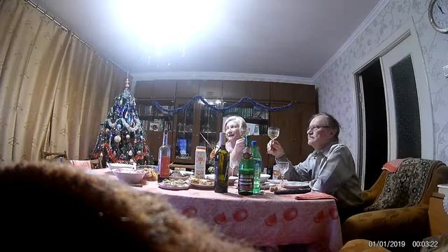 2019 01 01 встречаем Новый год вдвоем, не считая кошки Joined смотреть онлайн