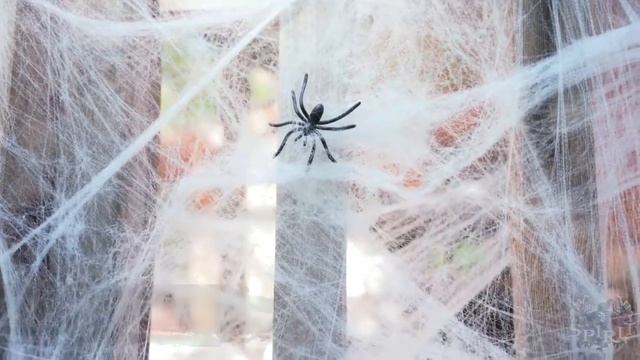 Купить искусственную паутину на Хэллоуин смотреть онлайн
