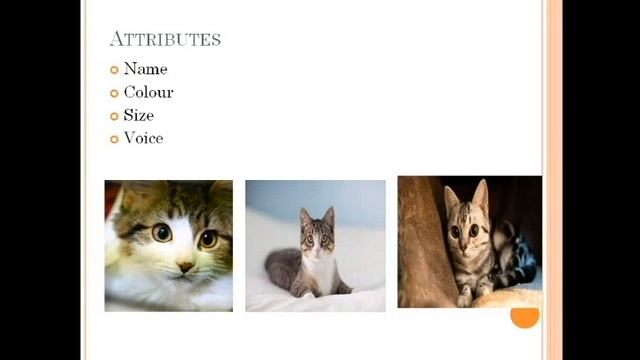 Java Classes and Objects #ForBeginners смотреть онлайн