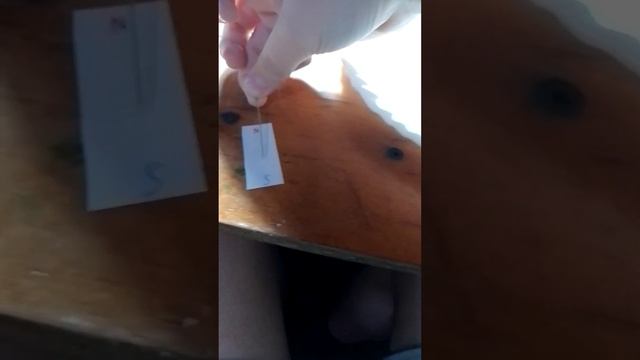 сделал самодельный компас. смотреть онлайн