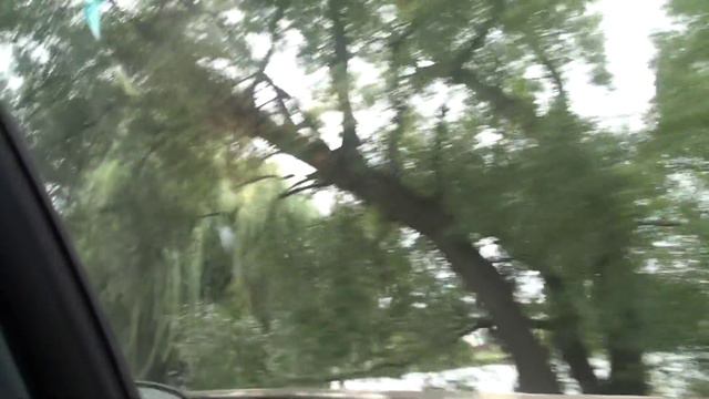 Дорогою до Горенки на збори відповідальних власників - громадян. смотреть онлайн