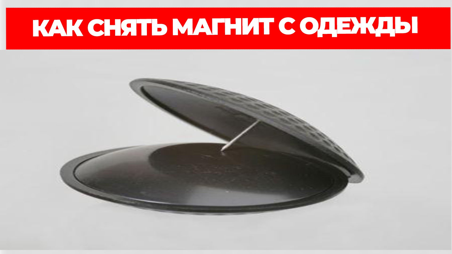 Всезнающий Енот