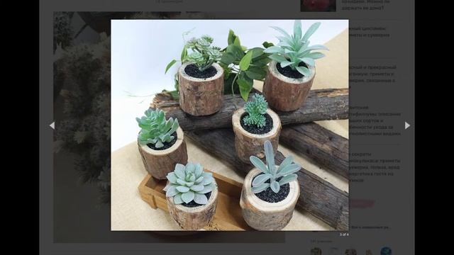 3 ошибки при выборе горшка для кактуса, из-за которых растение не порадует вас цветением смотреть онлайн