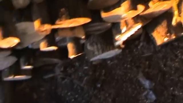 Котел длительного горения робота на дровах смотреть онлайн
