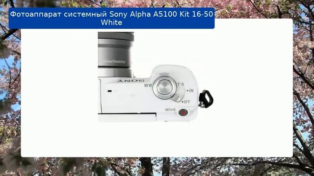 Фотоаппарат Sony Alpha A5100 Kit 16-50 White обзор смотреть онлайн