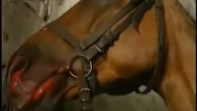 Такая красивая боль послезавтра расстояния) смотреть онлайн