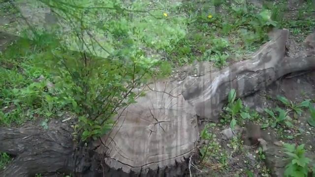 Иркутск деревянный и каменный Старое и новое 09 06 12 смотреть онлайн