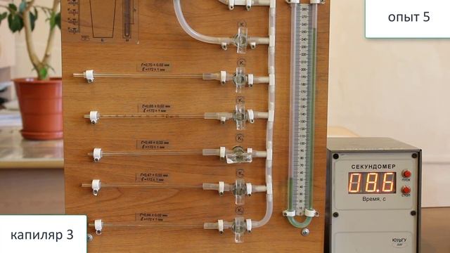 ФНС. Лабораторная работа №10 (механика)