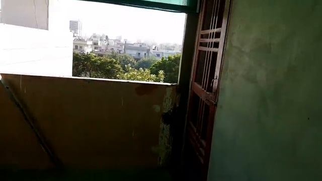 Creating an Exotic Gouldian Finches Setup: A Guide to Colorful Avian Paradise смотреть онлайн