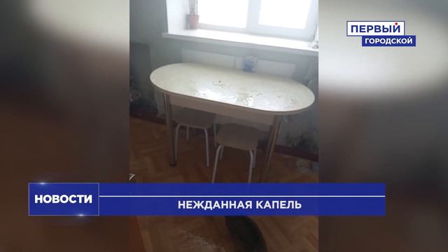 НЕЖДАННАЯ КАПЕЛЬ С ПОТОЛКА В ДОМЕ НА 3-Й ЖЕЛЕЗНОДОРОЖНОЙ смотреть онлайн