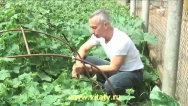 Топ 10 смешных моментов случаев в жизни людей 2013 смотреть онлайн