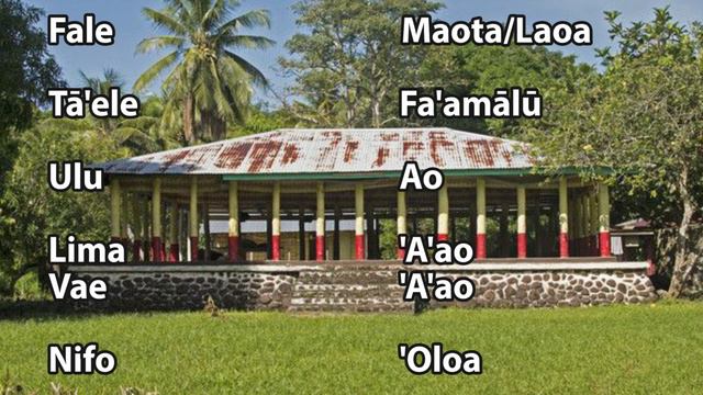 Vaiaso o le Gagana Samoa 2020 // Aso Tofi - Timo & Tagaloa смотреть онлайн
