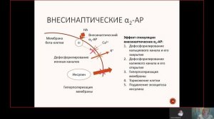 Фарма ВСЕ 3.1. Механизмы адренергической передачи.mp4