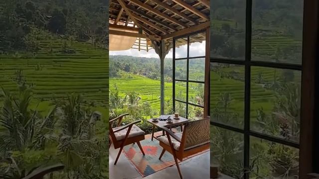 Звуки природы,шум дождя, пение птиц, Звуки Леса, для релаксации, сна, Медитации, Relax смотреть онлайн