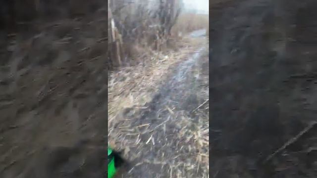 Зимняя рыбалка на Цимлянском водохранилище результат! 4 марта 2023г. закрытие сезона! #shorts смотреть онлайн