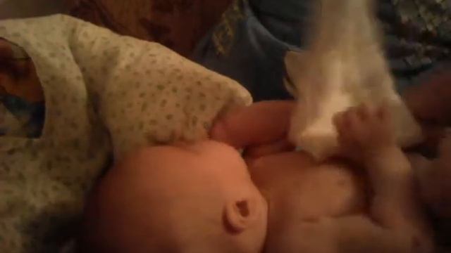 Фёдор Денисович рычит, мама Феди чем-то недовольна. смотреть онлайн