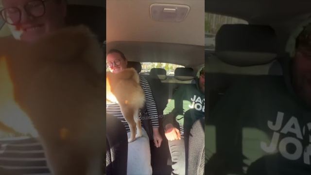 Четкий удар? смотреть онлайн