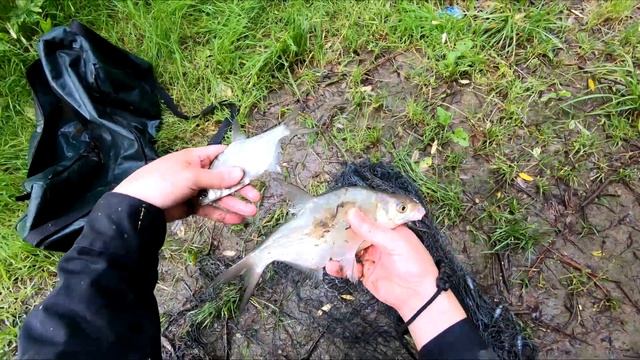 Рыбалка кастинговой сетью в Удмуртии. смотреть онлайн