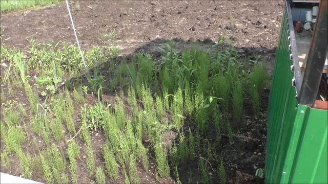 VLOG/Осталась без работы, дачу затопило.(теперь настоящий отдых !!!) смотреть онлайн