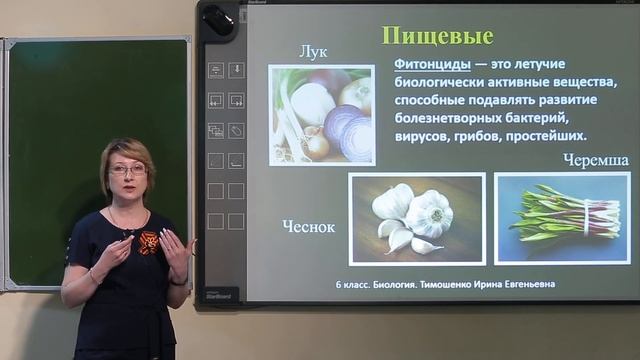 6 класс. Биология. Семейство растений класса Однодольные смотреть онлайн