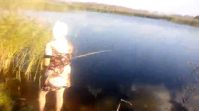 Ловим карася на тесто с чесноком смотреть онлайн