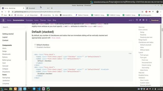 How to use radio checkbox in Bootstrap смотреть онлайн