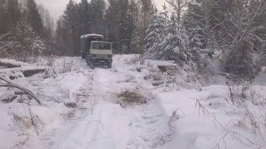 маз  54341 лесовоз