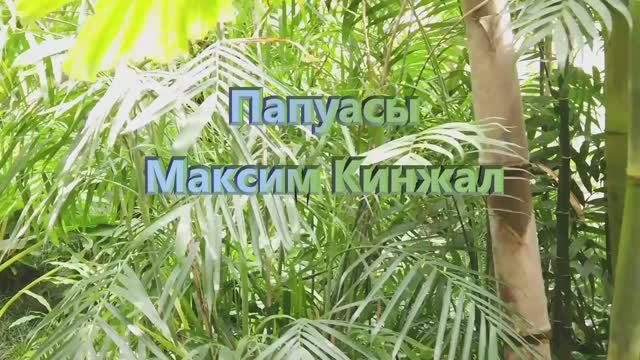 Папуасы / авторская песня / Максим Кинжал 2022 г. смотреть онлайн