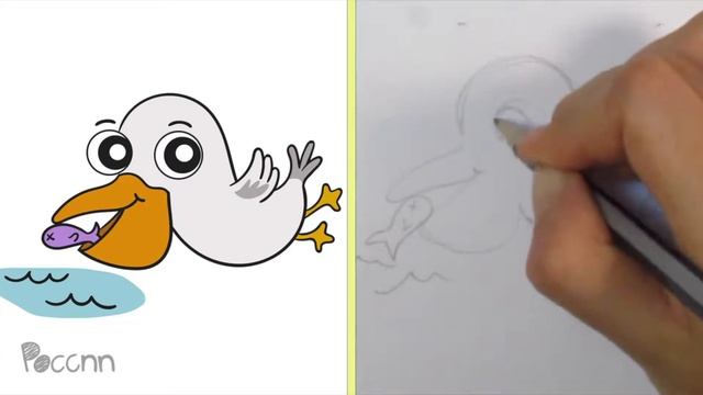 Cómo dibujar un pelicano comiendo смотреть онлайн