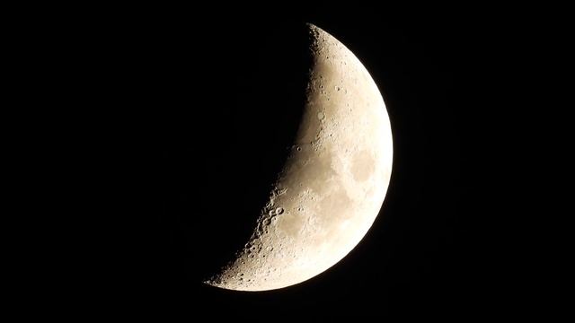 Wow The Moon Looks Stunning tonight! Nikon P1000 4k смотреть онлайн