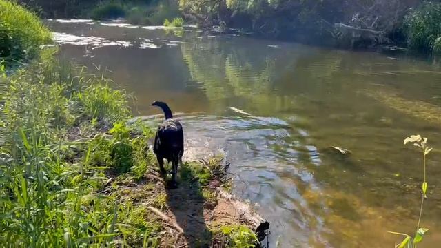 VID-20230108-WA0001.mp4 смотреть онлайн