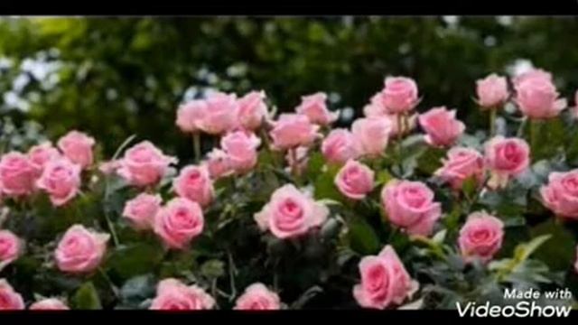 MANTRA - RAY MAN SHABAD