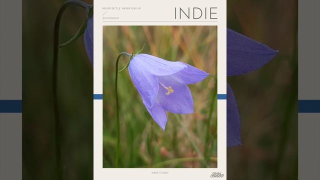 Колокольчик луговой ? смотреть онлайн