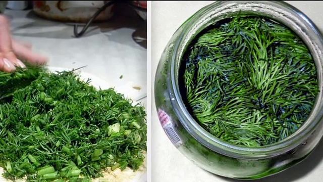 Какая польза от укропа и кому его употреблять не рекомендуется | VolkoFF_video смотреть онлайн