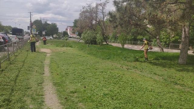 Покос травы в Симферополе смотреть онлайн