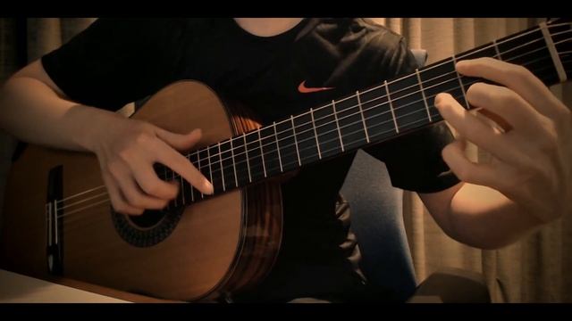 C418 - Sweden (Minecraft) - Solo Guitar Cover смотреть онлайн