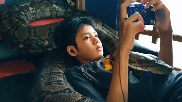 Девочка держит 6 гигантских питонов в качестве домашних животных! смотреть онлайн