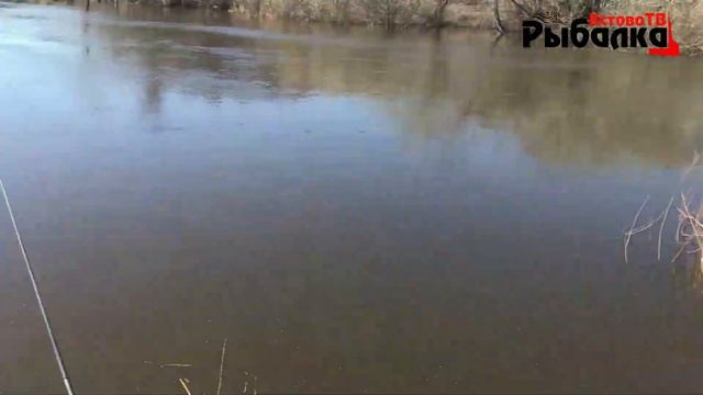 Рыбалка на поплавок прямо у дома.Анонс Уклейка это рыба такая смотреть онлайн