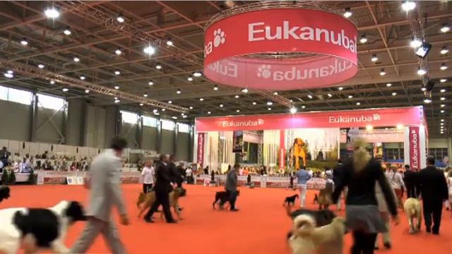 ЧМ 2013 Второй день Бэст 2 группы смотреть онлайн