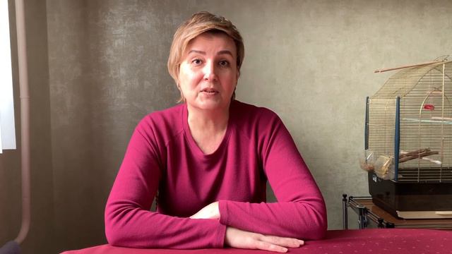 Видео отзыв от клиента агентства недвижимости "ТРИУМФАЛЬНАЯ АРКА". Агент: Карасева Вера смотреть онлайн