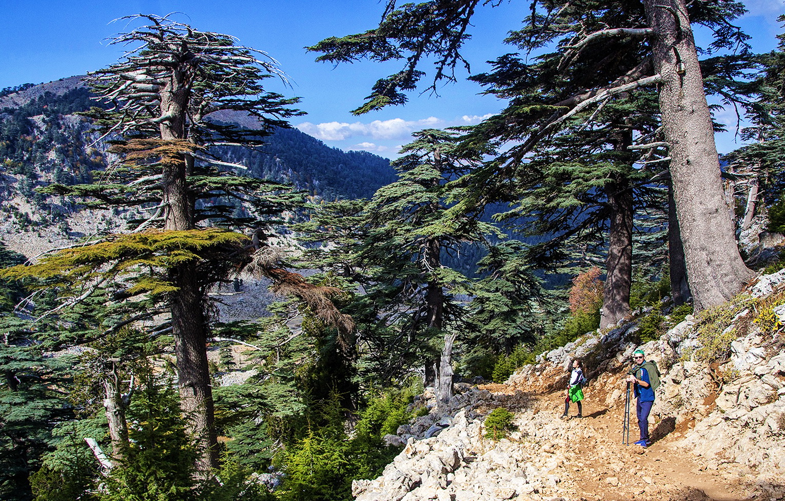 Туристический поход по Ликийской тропе (7 серия). смотреть онлайн