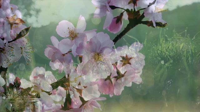 23 Ноября Народный Праздник Родион Ледокол и День Ераста. Что нельзя делать. Традиции и Приметы! смотреть онлайн