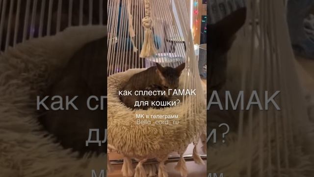 КАК СПЛЕСТИ ГАМАК ДЛЯ КОШКИ ? Обучение+материалы #гамакдлякошки в телеграмм bella_cord_ru смотреть онлайн