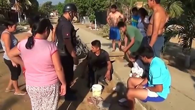 Animals That Asked People For Help & Kindness Ep 4